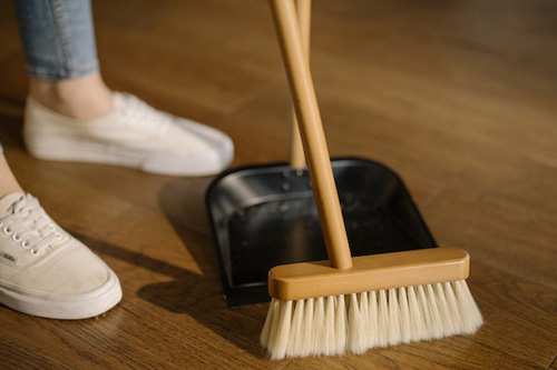 How to Clean Your Home Like a Pro