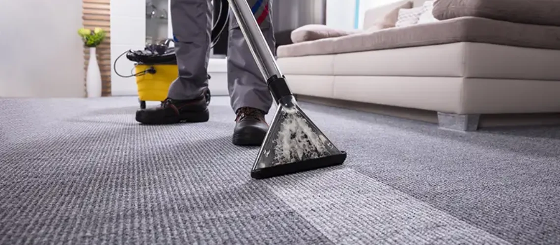 professional carpet cleaning Houston tx